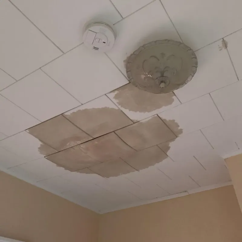 Ceiling Water Damage Repair in Collinsville, OK