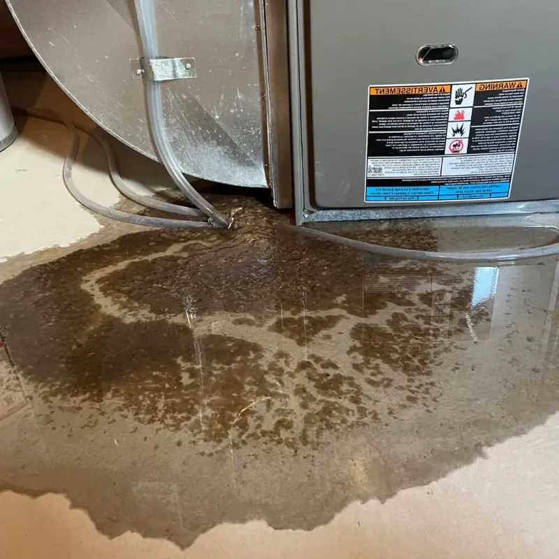 Pipe Burst and Leak Restoration in Collinsville, OK